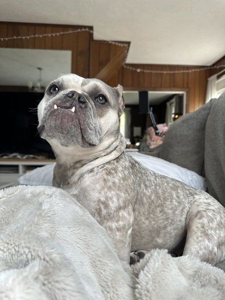 Lucy