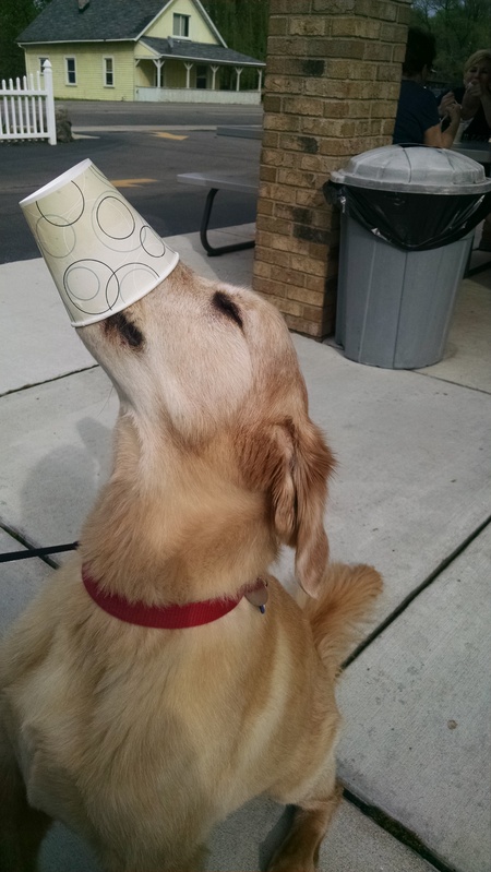 Murray