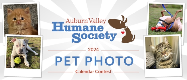Auburn Valley Humane Society 2024 AVHS Pet Calendar Fundraiser Auburn Valley Humane Society 2024 AVHS Pet Calendar Fundraiser