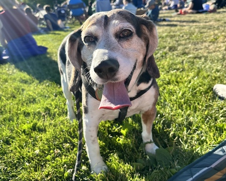 Cooper