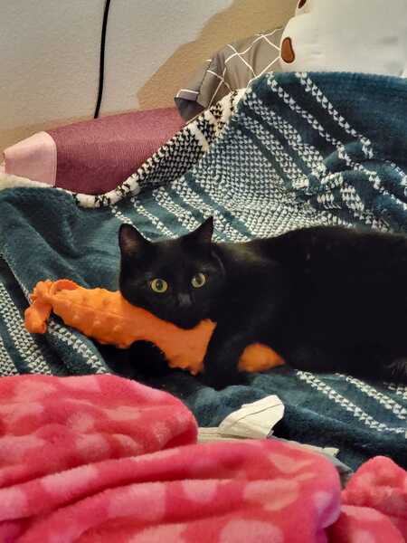 Luna