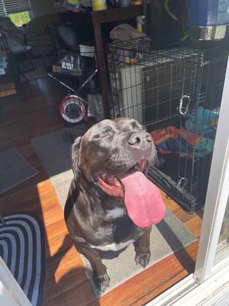 Elliott 