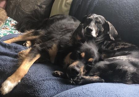Rudy and Whiskey