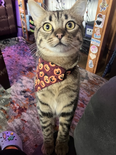 Penny