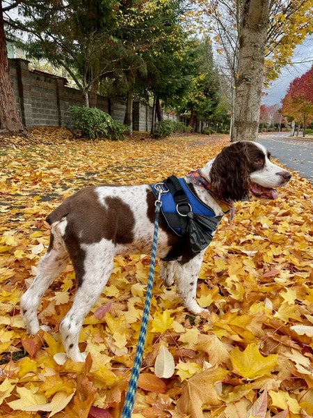 Murphy 