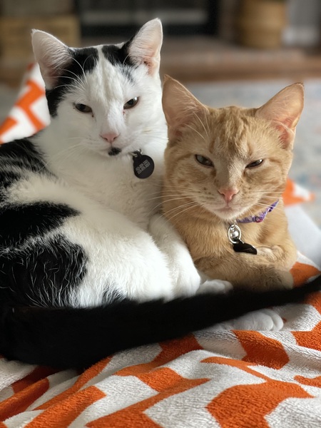 Benny and Dottie