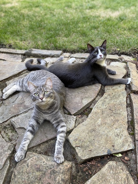 Lulu and Poppy