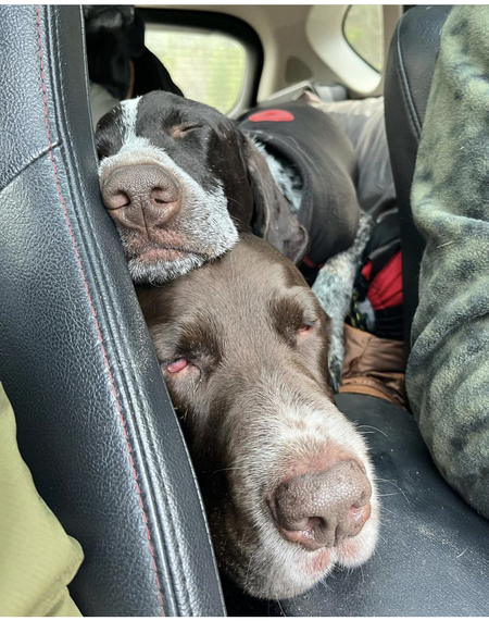 Tobi & Buck