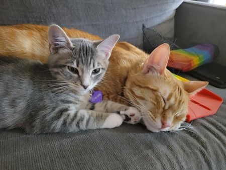 Bella & Wally