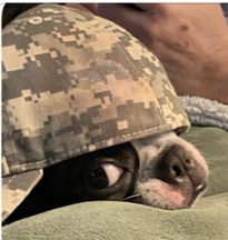 Gracie 