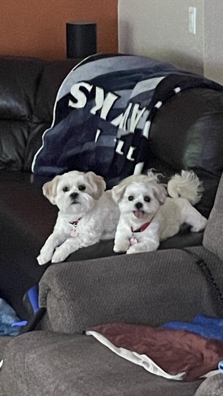 Pumba & Romeo