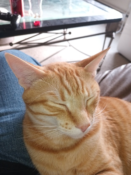 Nacho 