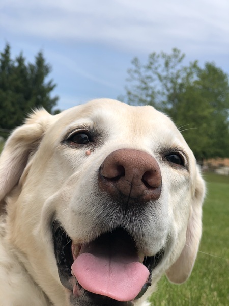 Shiloh