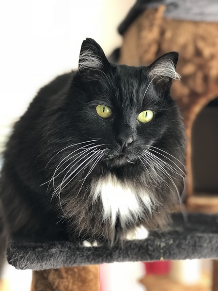 Lucy