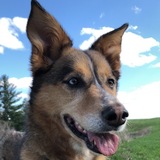 Entry image for Heidi