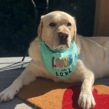 Entry image for Yukon