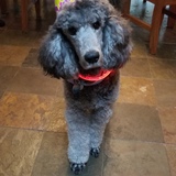 Entry image for Sterling