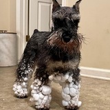 Entry image for Candy