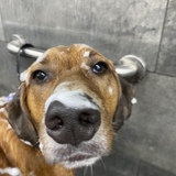 Entry image for Monty