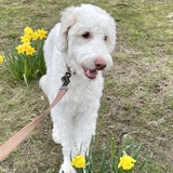 Entry image for River 