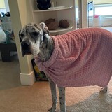 Entry image for Skyler