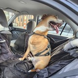 Entry image for Bobby