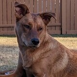 Entry image for Jake