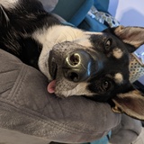 Entry image for Tucker