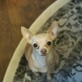 Entry image for George