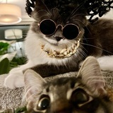 Entry image for Luca and Ollie