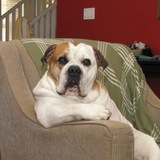 Entry image for Buford