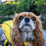 Entry image for Libby