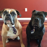 Entry image for Simon & Arthur