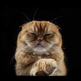 Entry image for Mushi