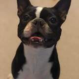 Entry image for Pepper