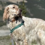 Entry image for Prime