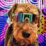 Entry image for Georgie Girl