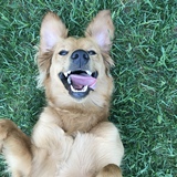 Entry image for Belle