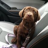 Entry image for Finley