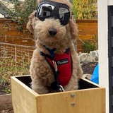 Entry image for Cleo