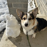 Entry image for Ladoo