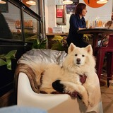 Entry image for Denver