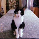 Entry image for Floyd