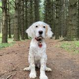 Entry image for Rush