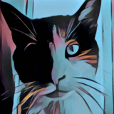 Entry image for Bean 