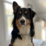 Entry image for Eddie