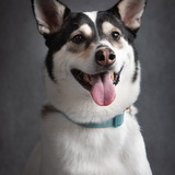 Entry image for Nora "The Bear" 