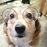 Entry image for Bridget