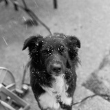 Entry image for Autumn