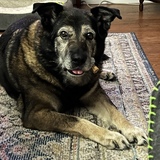 Entry image for Pepper